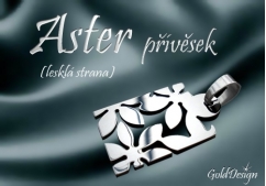 -Aster - přívěsek nerez ocel - lesk 